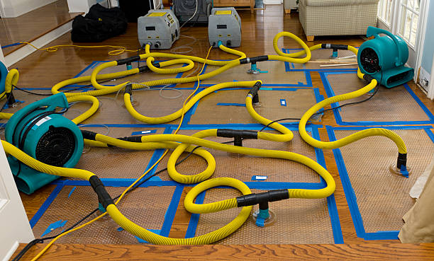 Professional Water Damage Restoration technician working in Rochelle Park, NJ